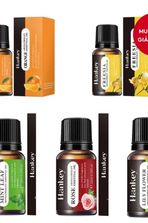 Tinh dầu thơm 10ml cho máy tạo độ ẩm thơm Dầu hòa tan trong nước với nhiều mùi hương